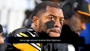 Giants Acquire Allen Robinson, A Seasoned Wide Receiver